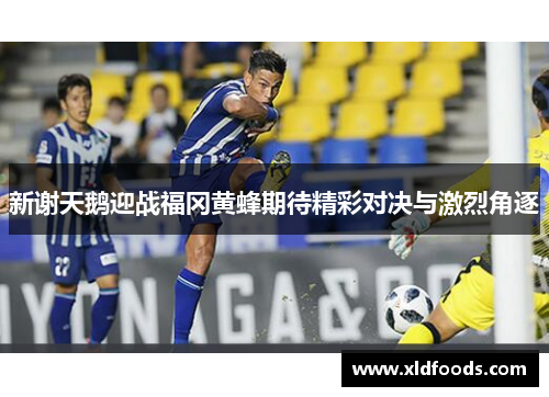 新谢天鹅迎战福冈黄蜂期待精彩对决与激烈角逐