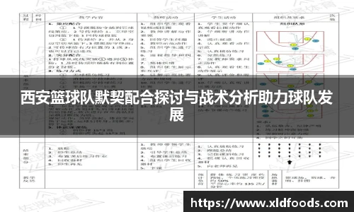 西安篮球队默契配合探讨与战术分析助力球队发展